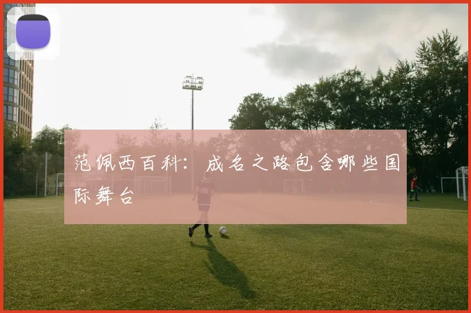 范佩西百科：成名之路包含哪些国际舞台