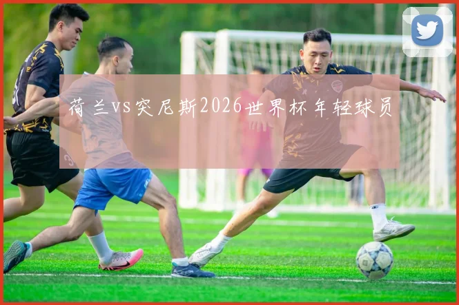 荷兰vs突尼斯2026世界杯年轻球员