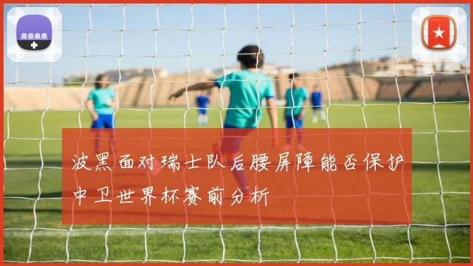 波黑面对瑞士队后腰屏障能否保护中卫世界杯赛前分析