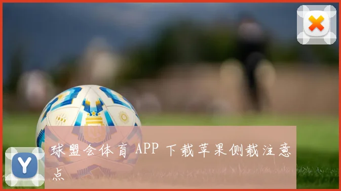 球盟会体育 APP 下载苹果侧载注意点